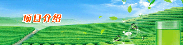 ��ϵ����