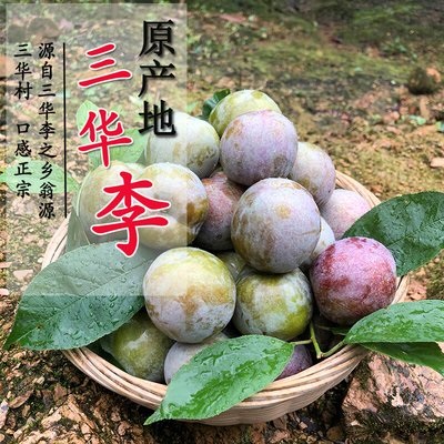 ����������죬��ǰԤ��������԰�Żݲ�ժ������������